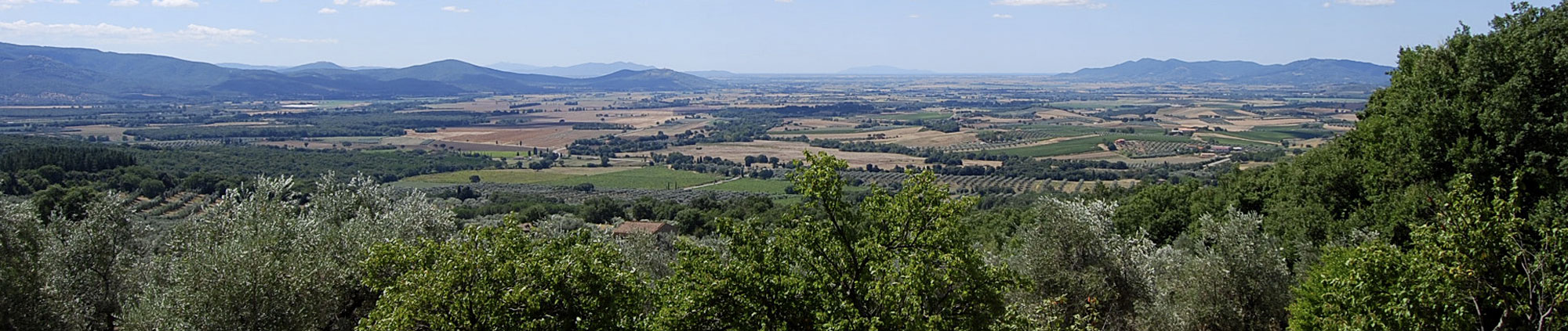 Vista panoramica
