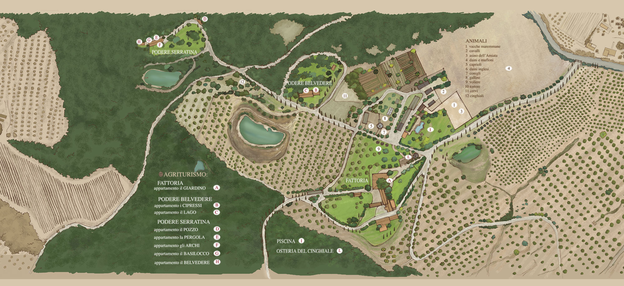 La mappa del Borgo di Peruzzo