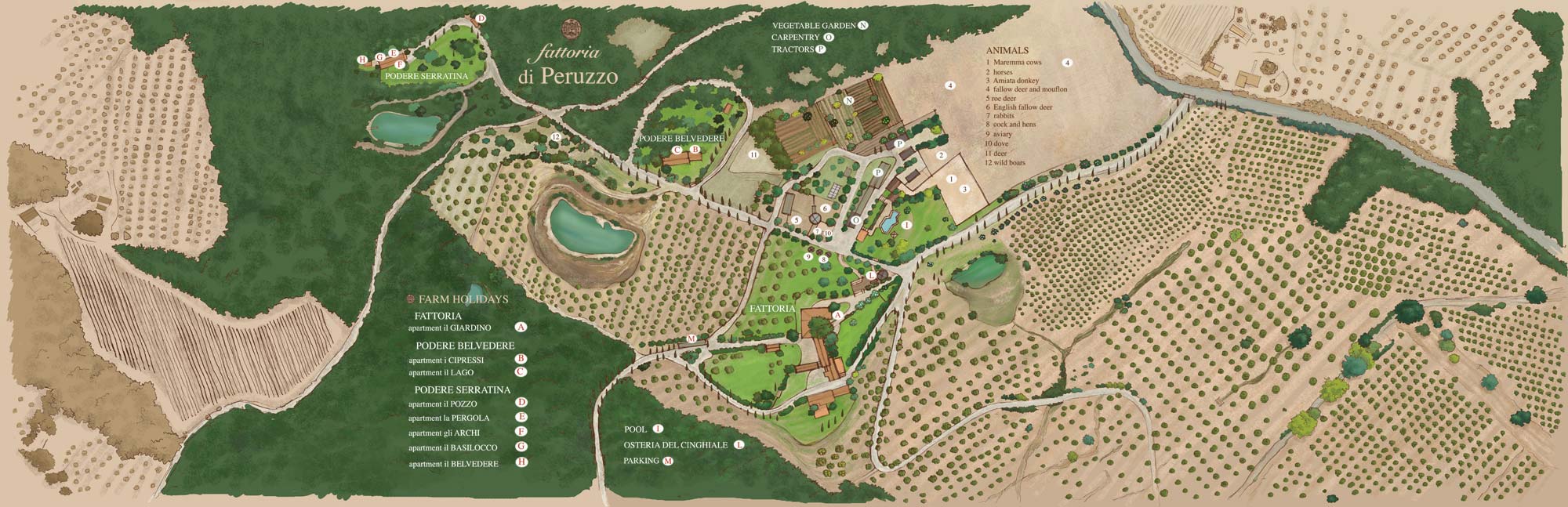 La mappa del Borgo di Peruzzo